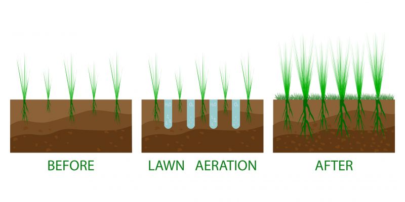Home Lawn Aerating