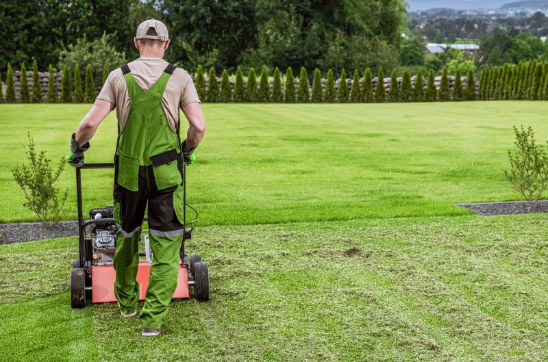 Home Lawn Aerating