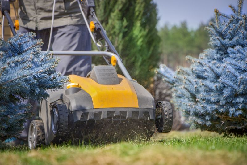 Home Lawn Aerating