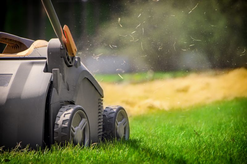 Home Lawn Aerating