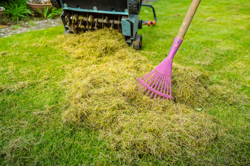 Lawn Recovery