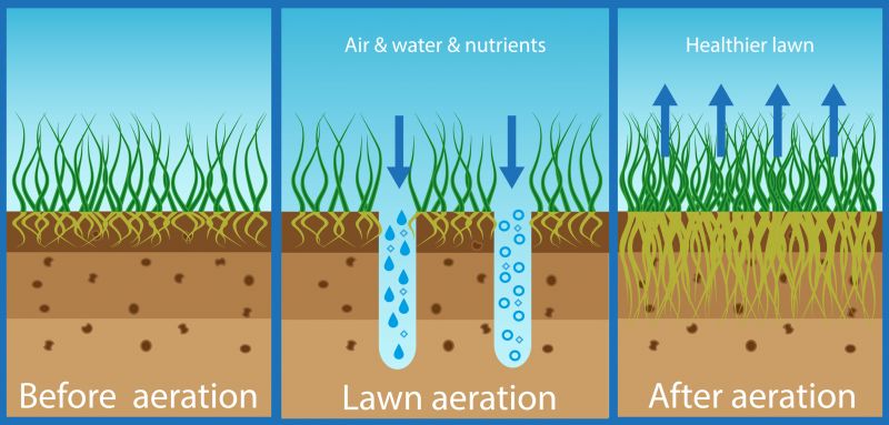 Aerated Lawn