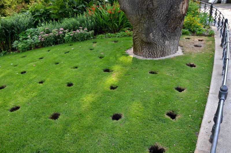 Fall Lawn Aeration