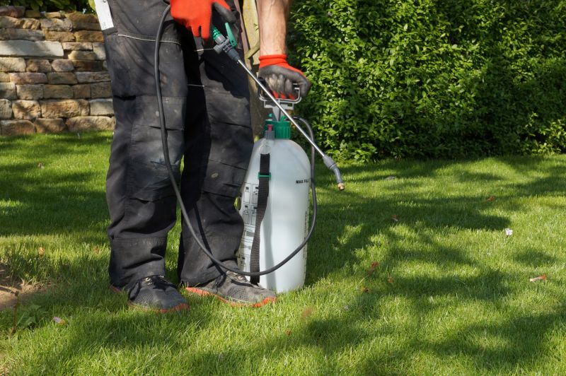 Lawn Weed Treatment in Aiken, SC