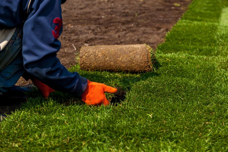 Sod Laying Service in Aiken, SC