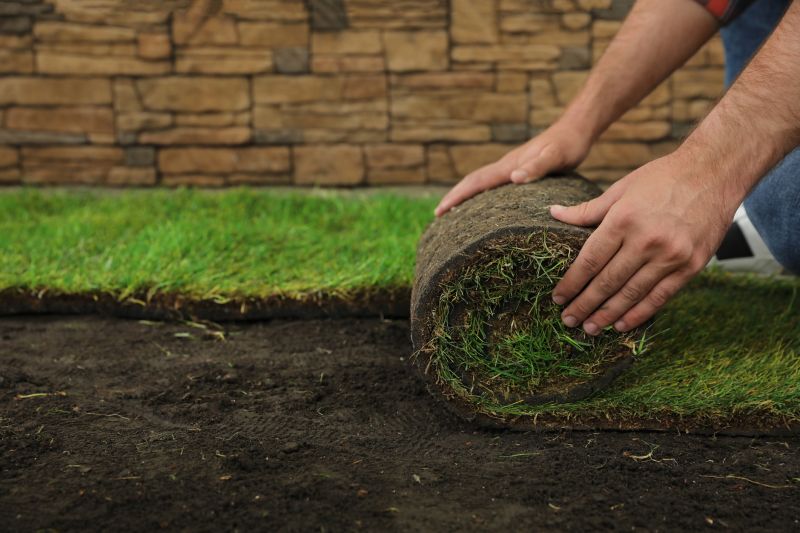Turfing Service in Aiken, SC